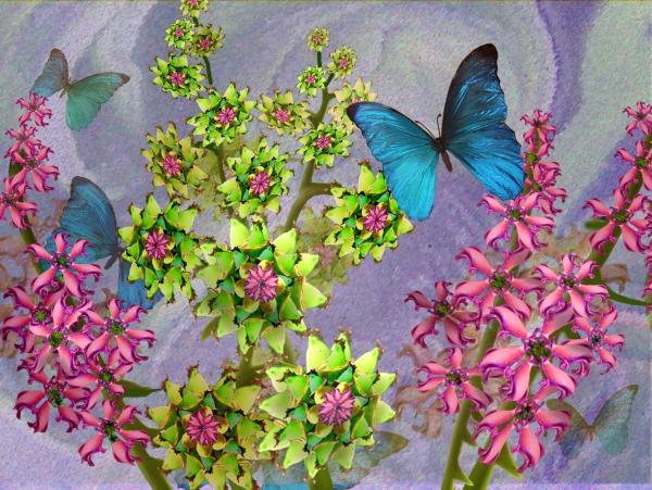 Creation of Butterfly Heaven: Step 14